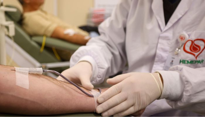  Rede Hemepar celebra Dia Nacional do Doador de Sangue com programação especial